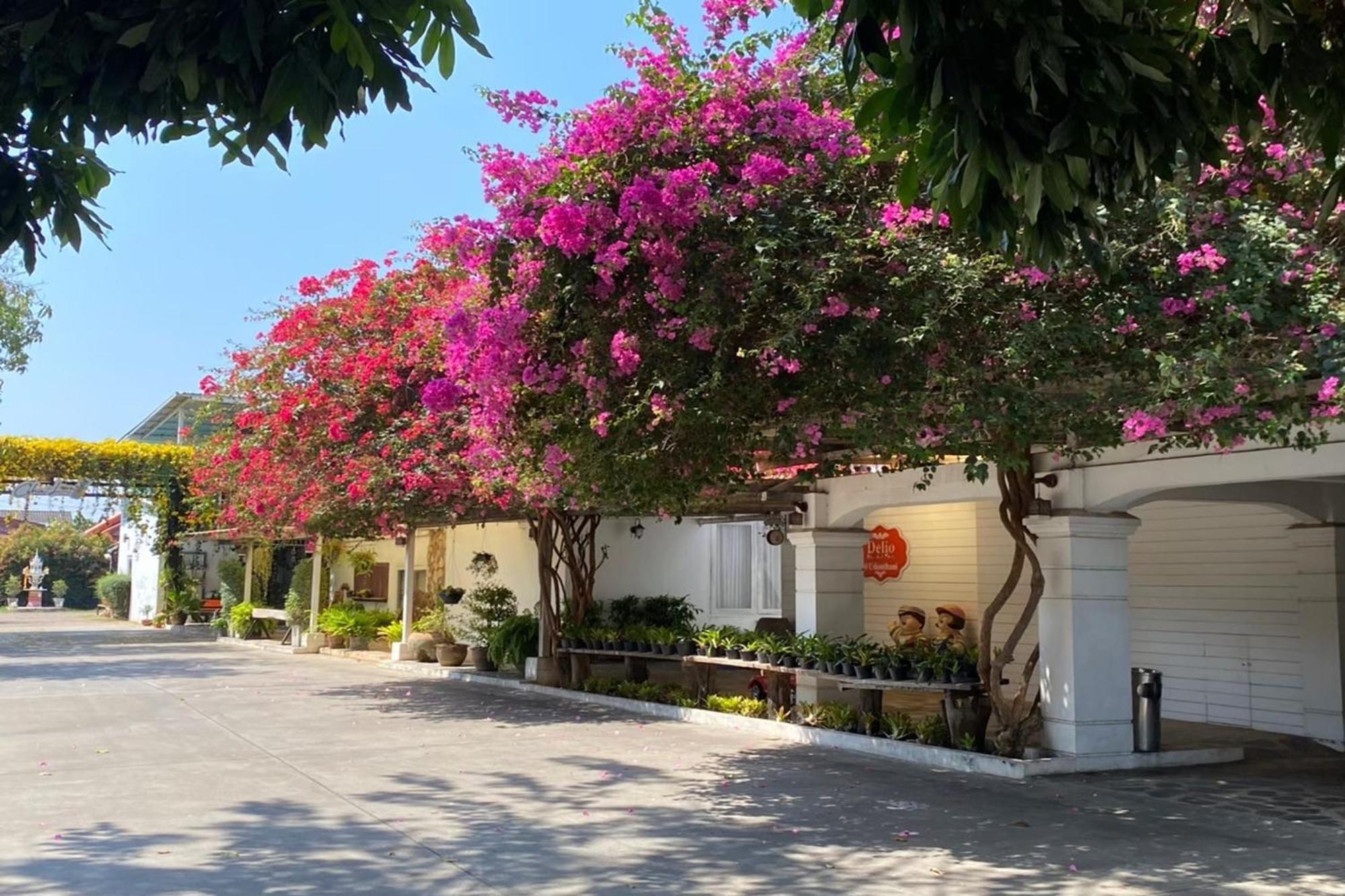 Delio Boutique Hotel Udon Thani Exteriör bild